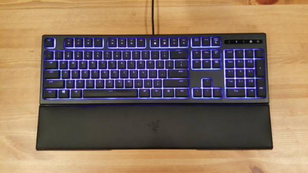 Обзор Razer Ornata